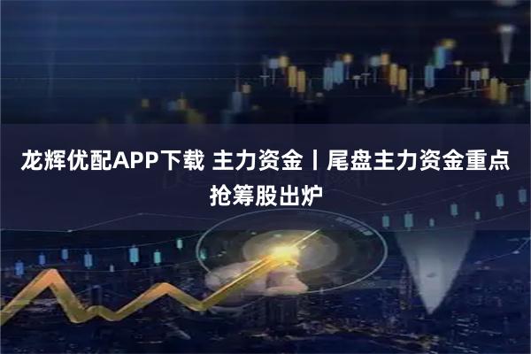 龙辉优配APP下载 主力资金丨尾盘主力资金重点抢筹股出炉