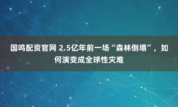 国鸣配资官网 2.5亿年前一场“森林倒塌”，如何演变成全球性灾难