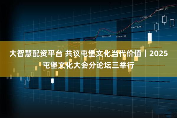 大智慧配资平台 共议屯堡文化当代价值｜2025屯堡文化大会分论坛三举行