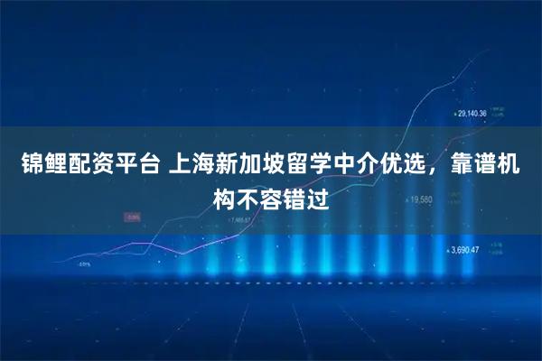 锦鲤配资平台 上海新加坡留学中介优选，靠谱机构不容错过