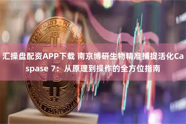 汇操盘配资APP下载 南京博研生物精准捕捉活化Caspase 7：从原理到操作的全方位指南