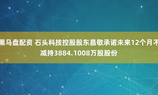 黑马盘配资 石头科技控股股东昌敬承诺未来12个月不减持3884.1008万股股份