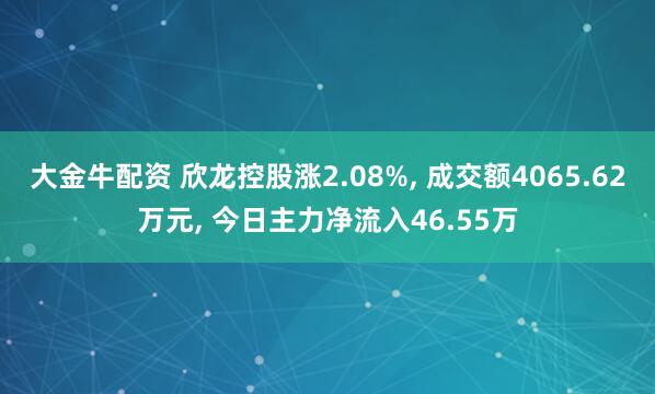 大金牛配资 欣龙控股涨2.08%, 成交额4065.62万元, 今日主力净流入46.55万